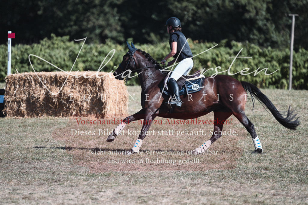 DSC_8666 | Pferde- und Turnierfotografie in Westsachsen. Pferdeportraits, Auftragszeichnungen und intuitive Kunst.