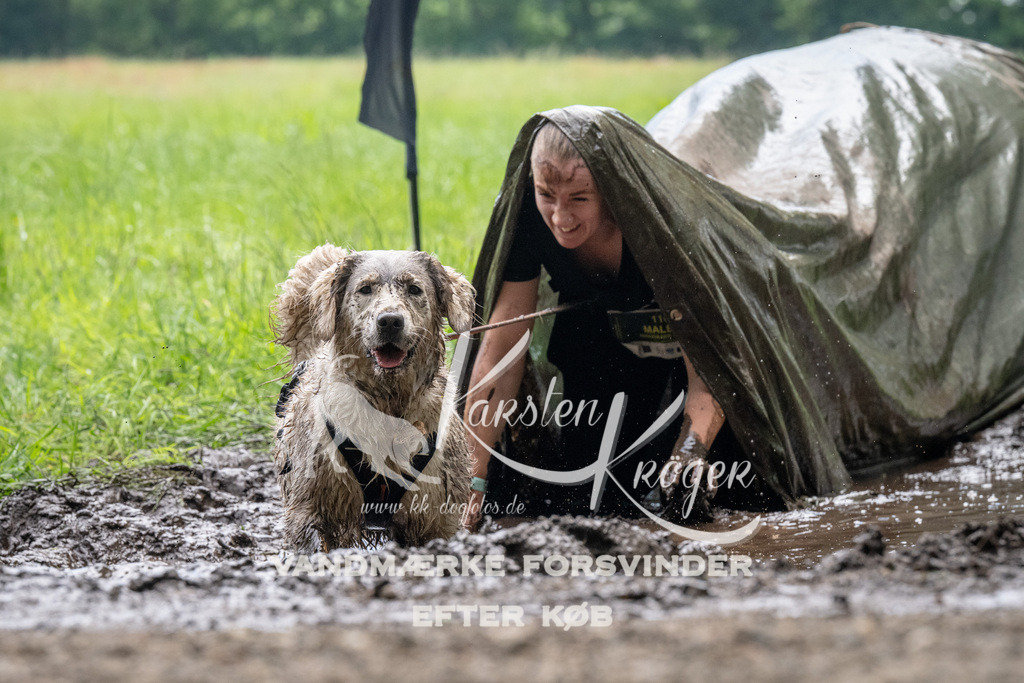 1115_ZZ92118 | kk-dogfotos