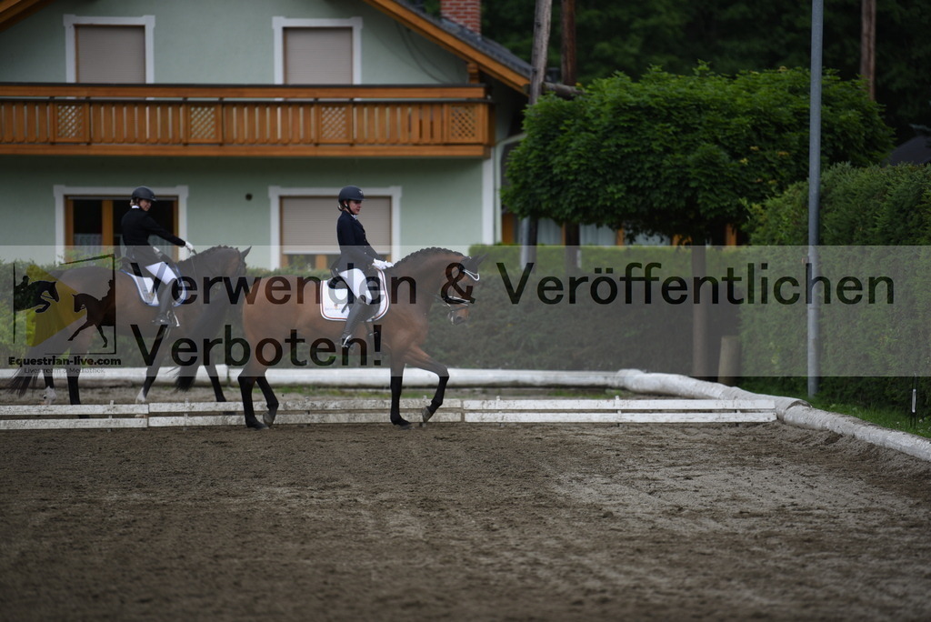 DSC_4257 | equestrian-live-com