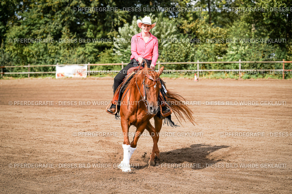 DSC09363 | Pferdegrafie