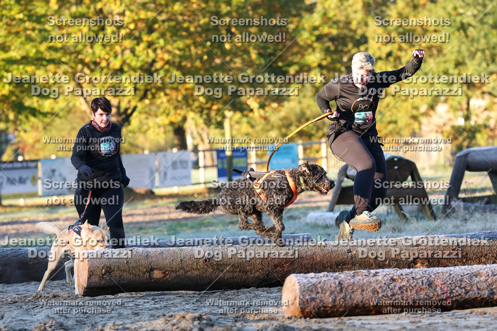 Dog Paparazzi - Strongdog 10-25-436 | Dog Paparazzi Jeanette Grottendiek Fotografie & Videografie - Realisiert mit Pictrs.com
