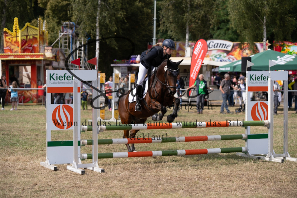 A7V08837 | Pferdefotograf