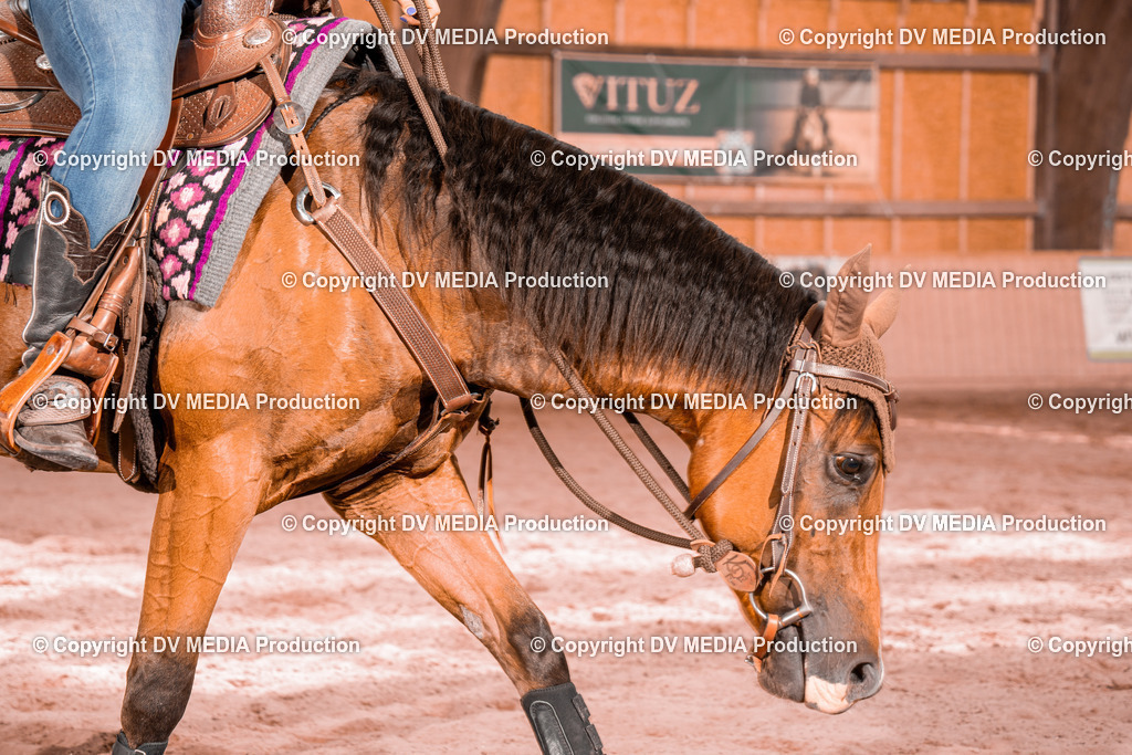 NE300498 | dv-media-shop - Realisiert mit Pictrs.com