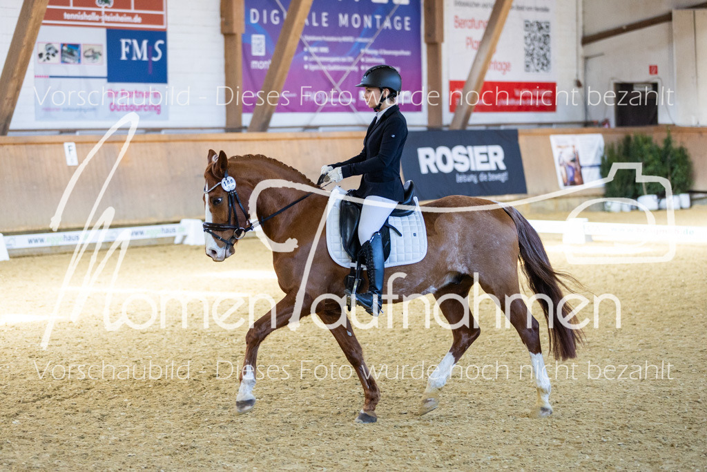 Sth-LPO25-DrR-L-236 | MomenTaufnahmen Pferdesportfotos