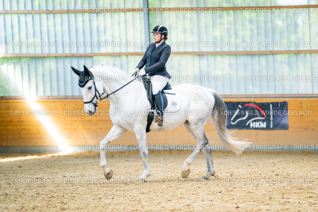 DSC07833 | Pferdegrafie