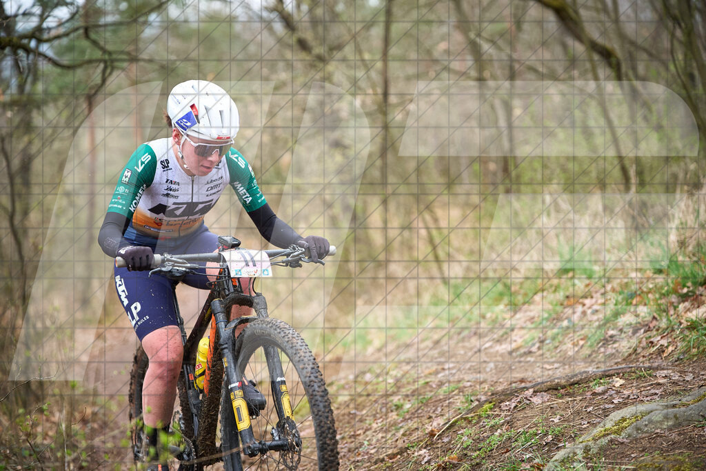 34. KTM Kamptal Trophy  | ZÖBING, Österreich – 2026-03-29: 34. KTM Kamptal TrophyFoto: © 2026 Martin Bihounek - MB Creative e.U.