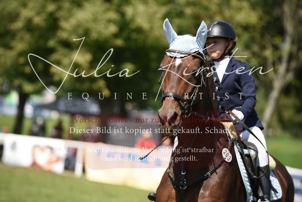 DSC_9957 | Pferde- und Turnierfotografie in Westsachsen. Pferdeportraits, Auftragszeichnungen und intuitive Kunst.