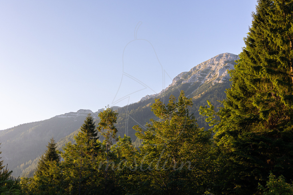 Rauher Kamm | Ihre Fotografin im Lungau, ihre Fotografin im Mostviertel, Wandbilder Onlineshop, Imagefotos für Ihr Unternehmen,  - Realisiert mit Pictrs.com