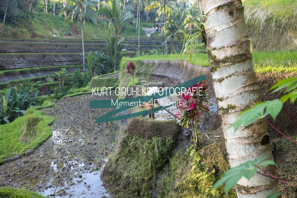 230720-1352 - Kopie | onlinegalerie und Fotoshop Kurt Gruhlke Fotograf Berlin
Hochzeitsfotograf Eventfotograf Portraitfotografie
 - Realisiert mit Pictrs.com