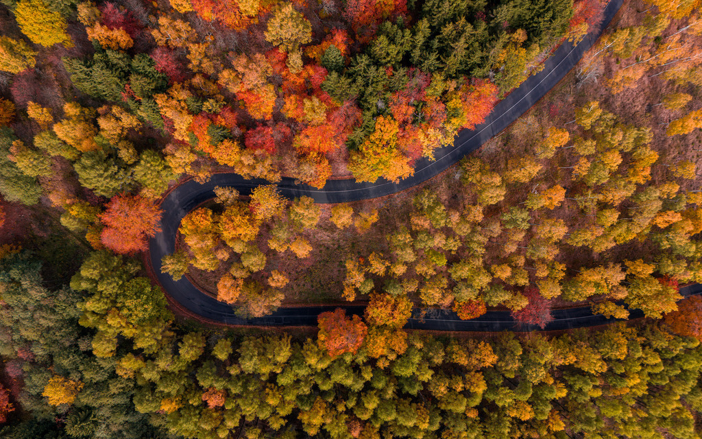 DJI_20231030125910_0209_D-Verbessert-RR | rat-media - Realisiert mit Pictrs.com