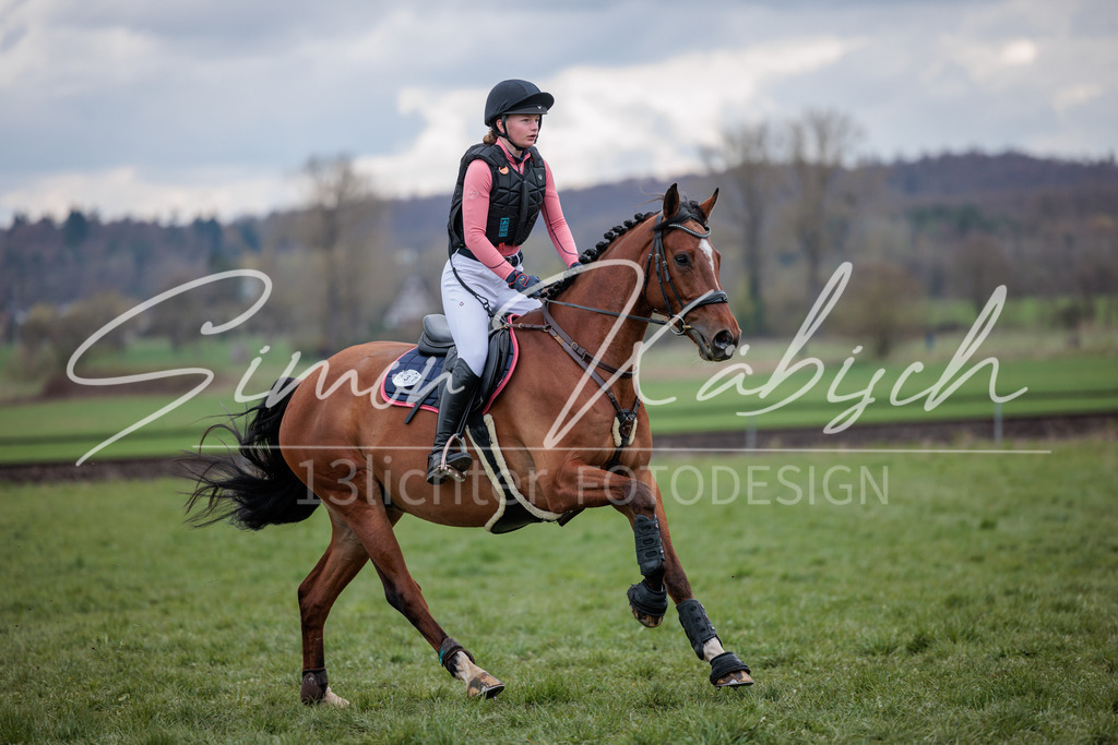 20260329-_3LI5668 | Tierfotografie Pferde, Hunde, Katzen, Haustiere.
Turnierfotografie Reitturniere, Reiten, Springreiten, Dressur in Hanau, dem Main-Kinzig-Kreis und dem Rhein-Main- Gebiet um Frankfurt