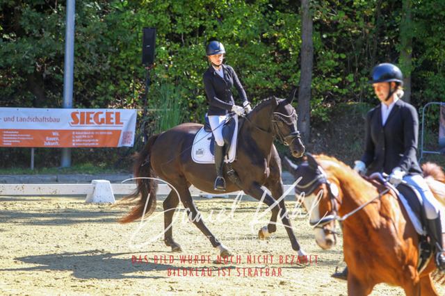 DKP41725 | Turniersportfotografie; Pferdefotografie; Dressurfotografie