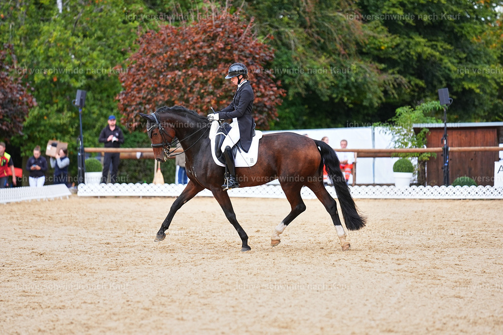 8_1-099-Klasse S_  -Marixx-4169 | working equitationturnier fotograf videograf stoibphotography marixx film working equitation deutschland reitsport turnierfotografie eventfotografie equestrian events