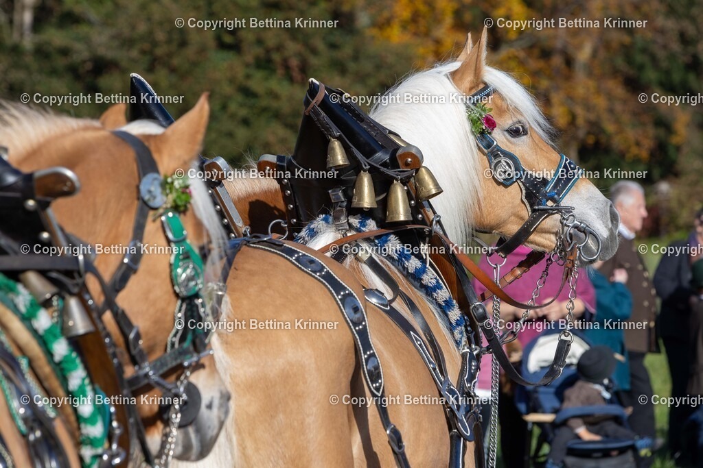 LBT24-1401 | foto-bettina-krinner - Realisiert mit Pictrs.com