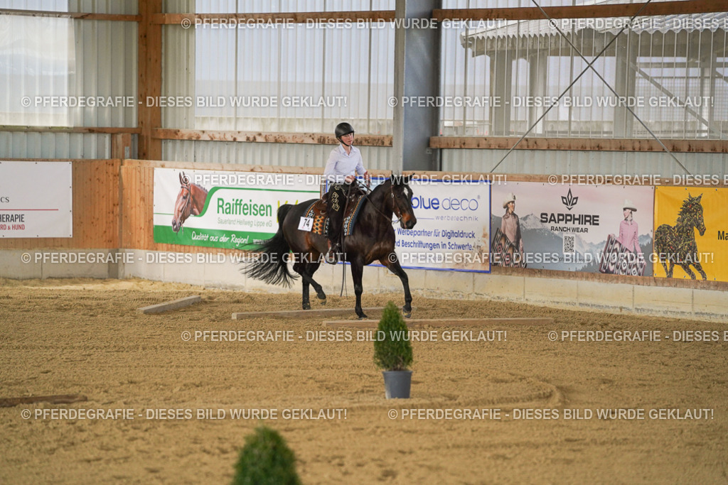 DSC06187 | Pferdegrafie