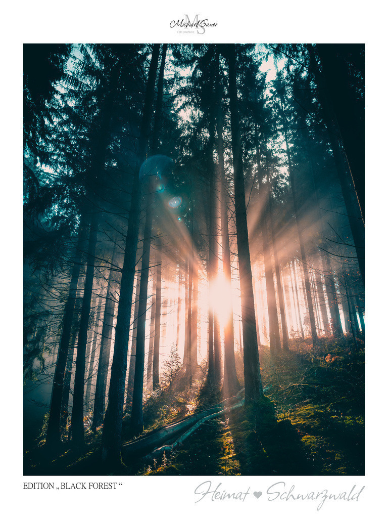 Edition "BLACK FOREST" | Motiv: Lichtdurchfluteter Wald. Die beliebtesten Fotografien aus dem Schwarzwald als signierte Sonderedition. Eine exklusive Wanddekoration für alle Liebhaber von traumhaften Schwarzwaldlandschaften. Hochwertige Wandbilder in brillanter Druckqualität auf Acrylglas, Alu-Dibond und Leinwand für Ihr Zuhause – inklusive rückseitige Aufhängung.
 - Realisiert mit Pictrs.com