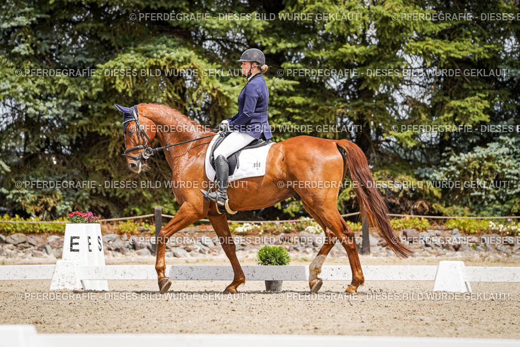 DSC02346 | Pferdegrafie