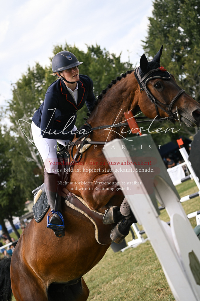 DSC_0804 | Pferde- und Turnierfotografie in Westsachsen. Pferdeportraits, Auftragszeichnungen und intuitive Kunst.