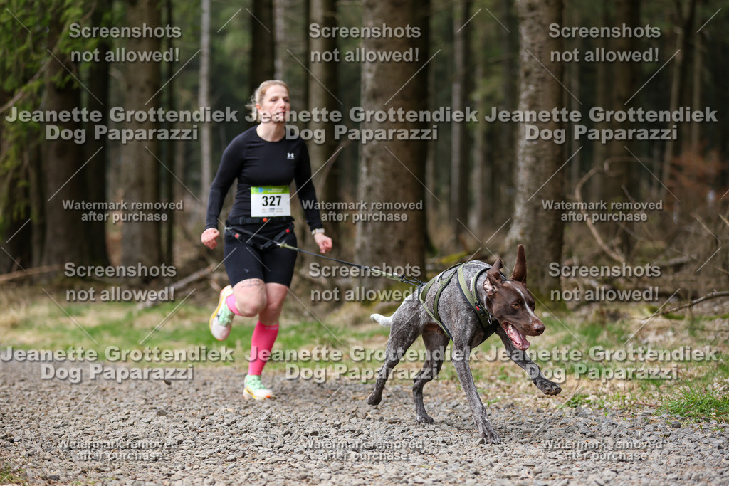 Dog Paparazzi - VCC26-461 | Dog Paparazzi Jeanette Grottendiek Fotografie & Videografie - Realisiert mit Pictrs.com