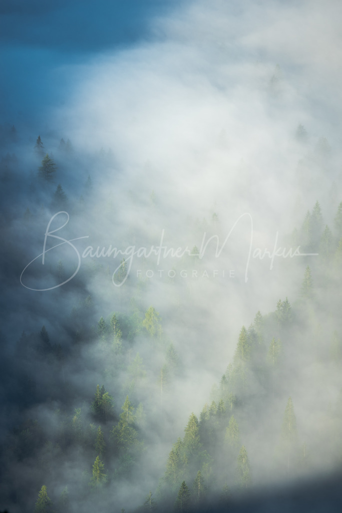 _DSC9413 | Baumgartner Markus Fotografie