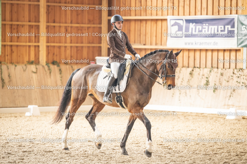 _D5A9356 | Emotionale Pferde- & People-Fotografie rund um Heidelberg, Leimen & Umgebung. Natürliche Fotos von Pferd, Mensch & Familie. Jetzt Termin sichern!