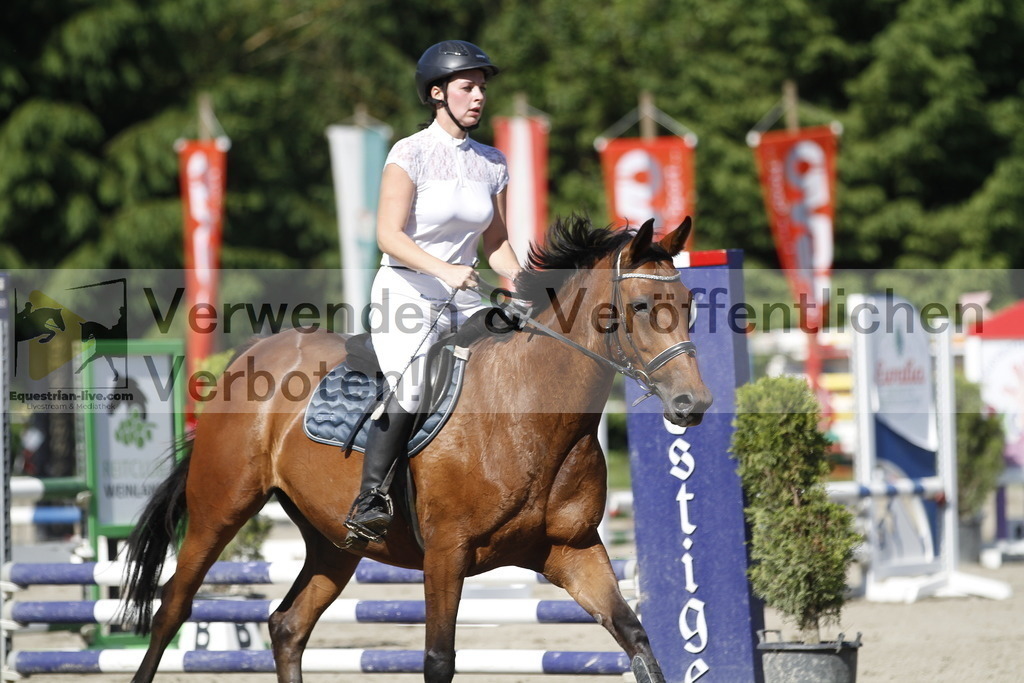 _MG_2508 | equestrian-live-com