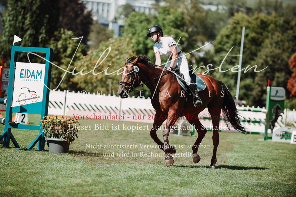 DSC_3086 | Pferde- und Turnierfotografie in Westsachsen. Pferdeportraits, Auftragszeichnungen und intuitive Kunst.