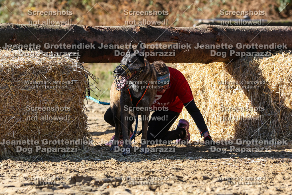 Dog Paparazzi - Strongdog 10-25-2782 | Dog Paparazzi Jeanette Grottendiek Fotografie & Videografie - Realisiert mit Pictrs.com