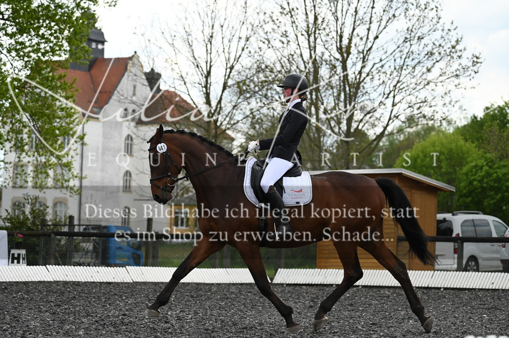 20230512_JK-Röhrsdorf-08-068 | Pferde- und Turnierfotografie in Westsachsen. Pferdeportraits, Auftragszeichnungen und intuitive Kunst.