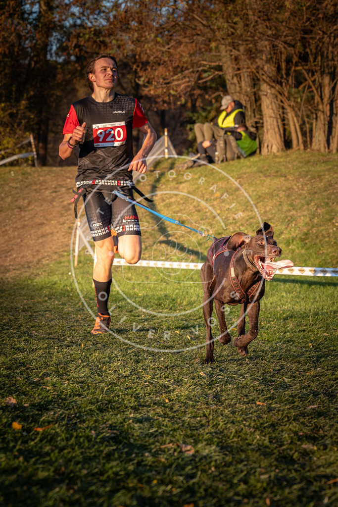 CaniXpix_0L8A1577 | Hundefotografie, Tierfotograf, Pfotenfotografie, Fotoshooting Hund, Hunde Portrait, Hundesport, Hundeportraits, Heideshooting, Hunde, Sportfotograf, Hundefotograf, Turnierhundsport, THS,  - Realisiert mit Pictrs.com
