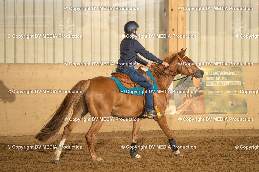 LAU00594 | dv-media-shop - Realisiert mit Pictrs.com