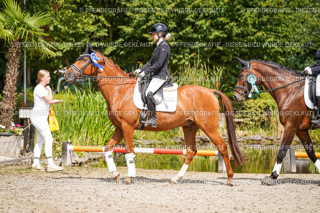 DSC02405 | Pferdegrafie