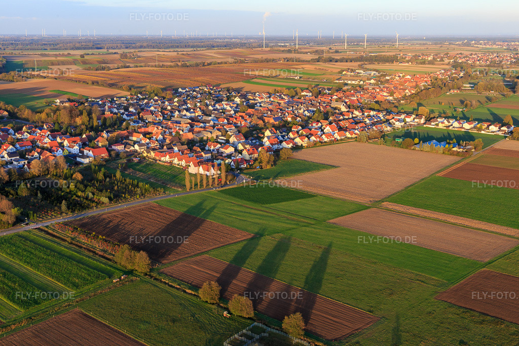 Luftbild: Dorfansicht aus Südwesten im Ortsteil Schaidt in Wörth im Bundesland Rheinland-Pfalz in Deutschland. Foto: IMG_104451.jpg vom 31.10.2017 durch Werner Riehm/FLY-FOTO.de