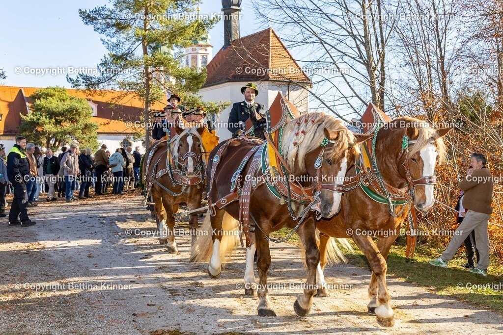 LBT25-1386 | foto-bettina-krinner - Realisiert mit Pictrs.com