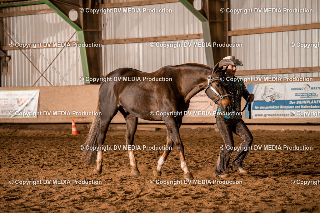 BAL01305 | dv-media-shop - Realisiert mit Pictrs.com