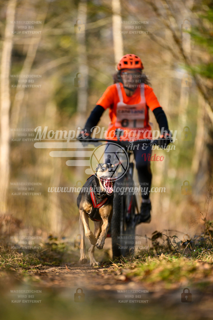MompixPhotography_6ReiatRennen2026_SO_Bike-48 | PayLife