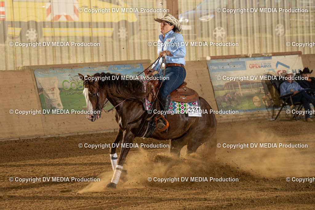 LAU01943 | dv-media-shop - Realisiert mit Pictrs.com