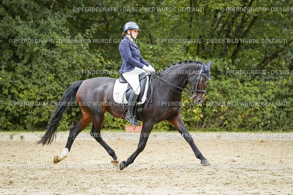 DSC06191 | Pferdegrafie