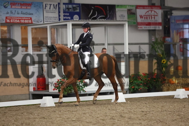 Waghäusel-Wiesental_2024_Prfg.Nr.08_1.WP_U25_Nadia Lachemann_Lissardo (2) | Alle Fotos der Reiterjournal Fotografin Doris Matthaes im Reiterjournal Online-Fotoshop. - Realisiert mit Pictrs.com