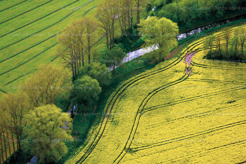 3502003 | Bäume im Frühling an der Wipper bei Wolkramshausen