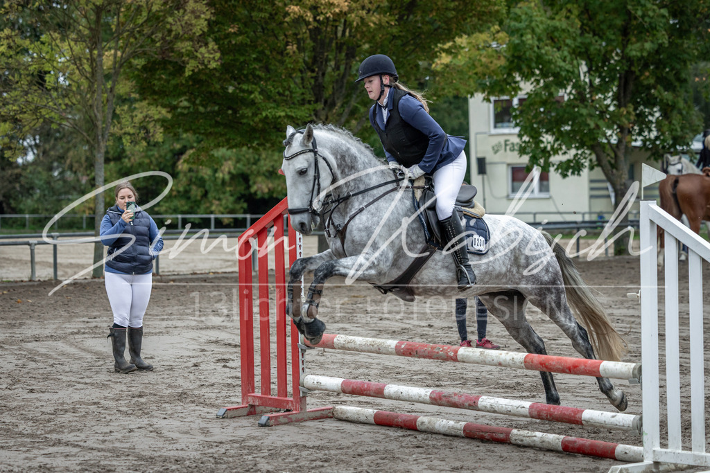 20251012-_3LI2435 | Tierfotografie Pferde, Hunde, Katzen, Haustiere.
Turnierfotografie Reitturniere, Reiten, Springreiten, Dressur in Hanau, dem Main-Kinzig-Kreis und dem Rhein-Main- Gebiet um Frankfurt