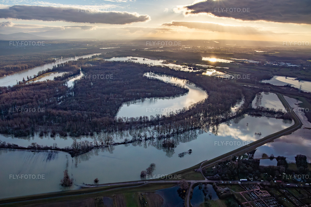 Luftbild: Wegen Hochwasser überflutetes Naturschutzgebiet Goldgrund in der Hagenbacher Altrheinschleife im Ortsteil Maximiliansau in Wörth im Bundesland Rheinland-Pfalz in Deutschland. Foto: IMG_139342.jpg vom 16.12.2023 durch Werner Riehm/FLY-FOTO.de