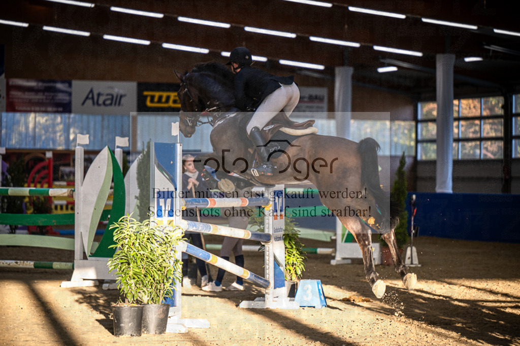 DOS_3648 | Entdecke hochwertige Reitturnierfotos von Foto Oger. Professionell, emotional und authentisch – jetzt Lieblingsmomente im Shop bestellen.Deutschlandweite Turnierfotografie. - Realisiert mit Pictrs.com