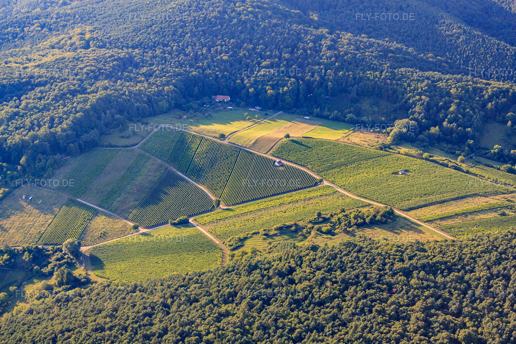 Luftbild: Wolfsteig in Pleisweiler-Oberhofen im Bundesland Rheinland-Pfalz in Deutschland. Foto: IMG_51294.jpg vom 04.08.2012 durch Werner Riehm/FLY-FOTO.deAuflösung des Originals: 4752 x 3168 px
