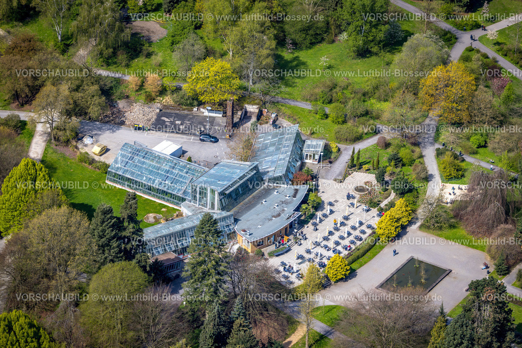 Dortmund230401926 | Luftbild, CafÃƒÆ’Ã†â€™Ãƒâ€ Ã¢â‚¬â„¢ÃƒÆ’Ã¢â‚¬Å¡Ãƒâ€šÃ‚Â© Orchidee im Rombergpark, Rombergpark-Lücklemberg, Dortmund, Ruhrgebiet, Nordrhein-Westfalen, Deutschland