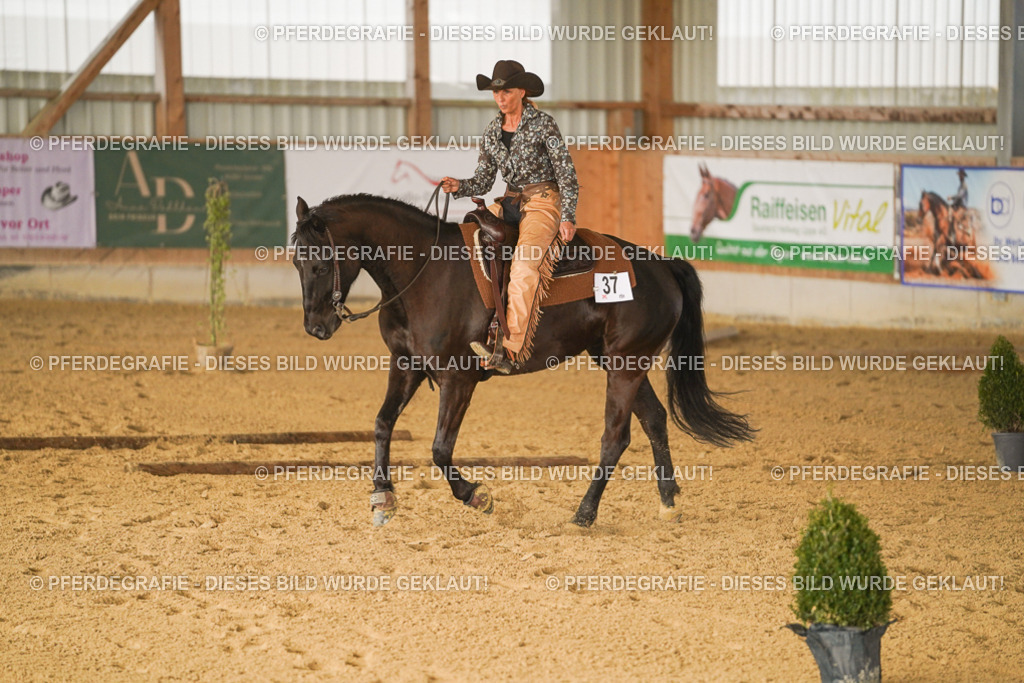 DSC01918 | Pferdegrafie