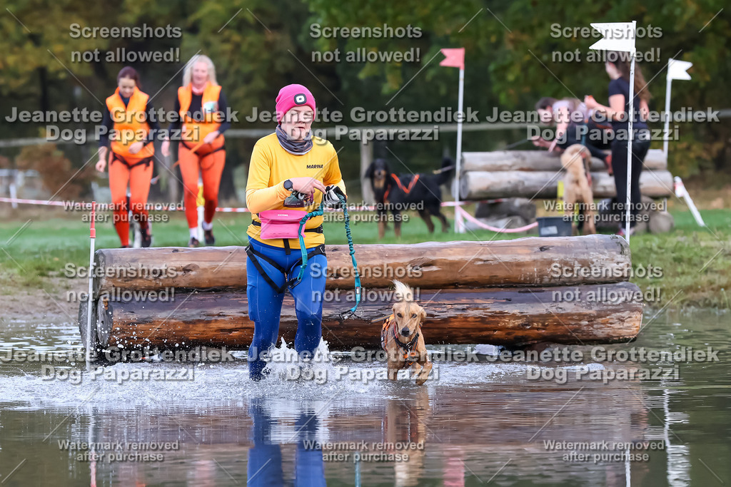 Dog Paparazzi - Strongdog 10-25-6455 | Dog Paparazzi Jeanette Grottendiek Fotografie & Videografie - Realisiert mit Pictrs.com