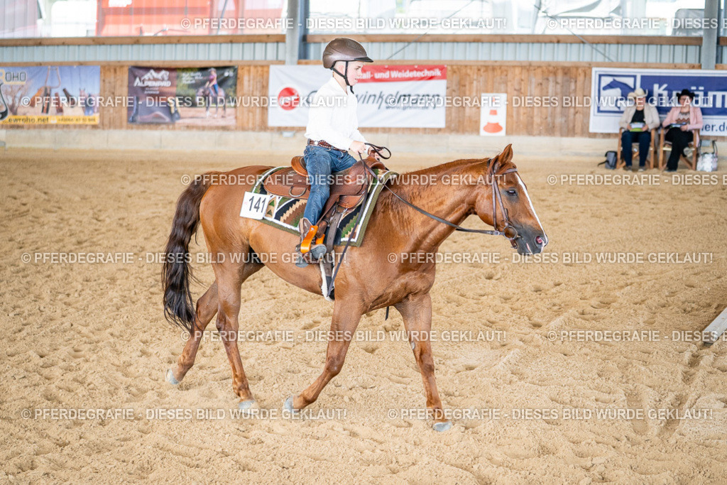 DSC03176 | Pferdegrafie