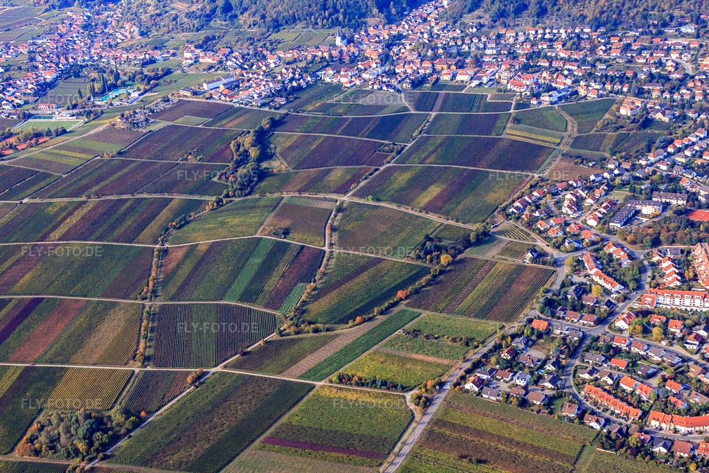 Luftbild: Wingert am Kändlerweg in Neustadt an der Weinstraße im Bundesland Rheinland-Pfalz in Deutschland. Foto: IMG_22080.jpg vom 15.10.2009 durch Werner Riehm/FLY-FOTO.de