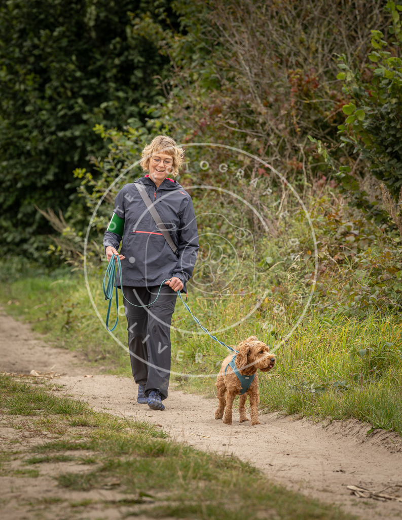 Pfotenfotografie_DV3A8575 | Hundefotografie, Tierfotograf, Pfotenfotografie, Fotoshooting Hund, Hunde Portrait, Hundesport, Hundeportraits, Heideshooting, Hunde, Sportfotograf, Hundefotograf, Turnierhundsport, THS,  - Realisiert mit Pictrs.com